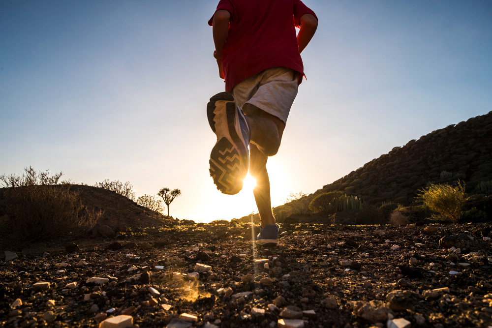 Alimentação também é treino