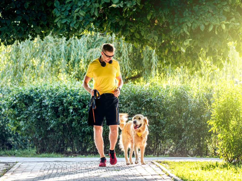 Calor, corrida e seu cão: como treinar com segurança no verão